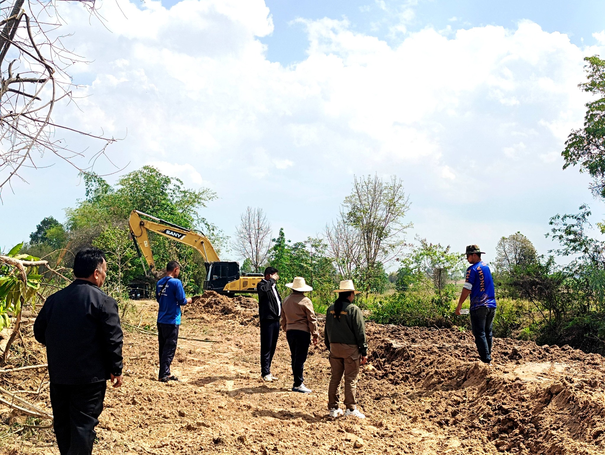 อาจเป็นรูปภาพของ พื้นหญ้า และ ต้นไม้