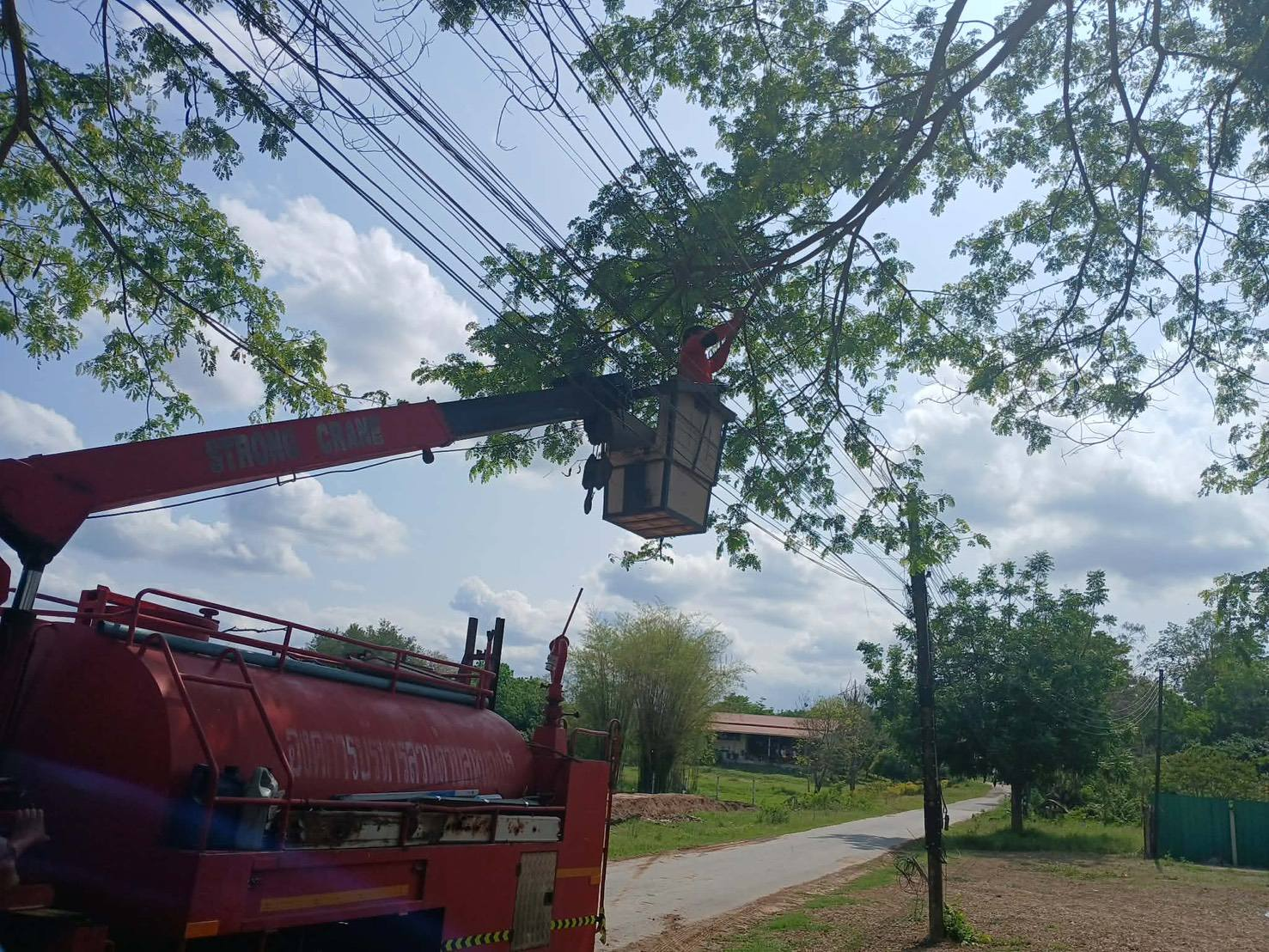 องค์การบริหารส่วนตำบลหนองไฮออกให้บริการประชาชน หมู่ที่ 16 บ้านห้วยเจริญ ตัดกิ่งไม้ เนื่องจากฝนตกแล้วมีลมแรงทำให้กิ่งไม้โน้มตัว